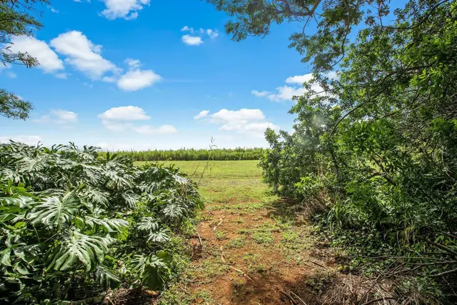 Listing Image for 2767 Unit B Hana Hwy 0002 25 of 25