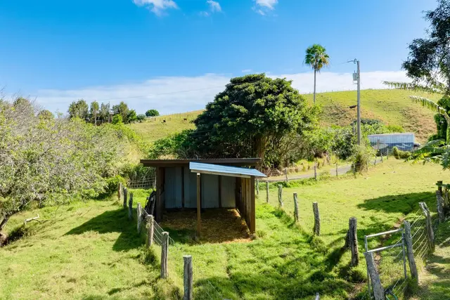 Listing Image for 1699 Kaupakalua Rd 38 of 41
