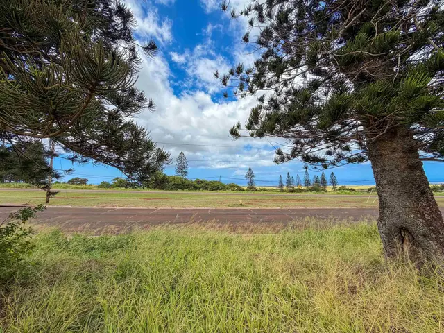 Listing Image for 0 Puumalu St 11 of 15