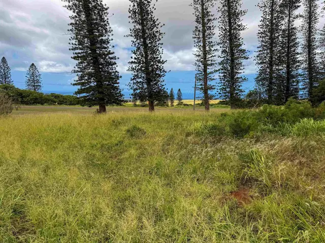 Listing Image for 0 Puumalu St 7 of 15