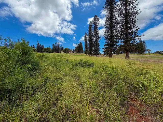 Listing Image for 0 Puumalu St 8 of 15
