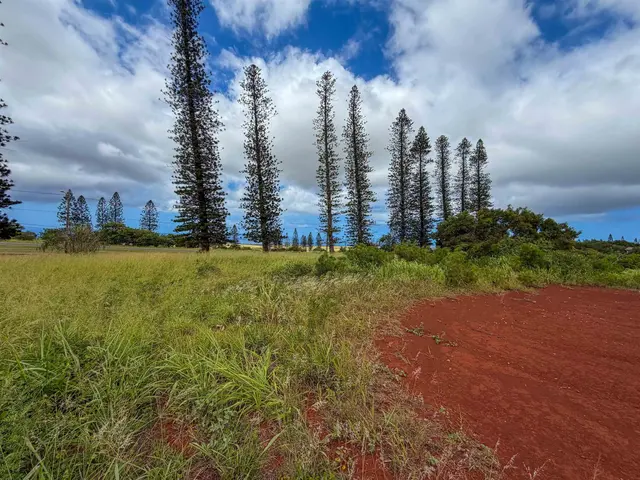 Listing Image for 0 Puumalu St 9 of 15