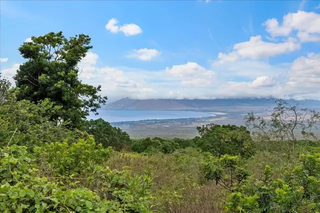 Listing Image for 0 Kula Hwy 1 of 32