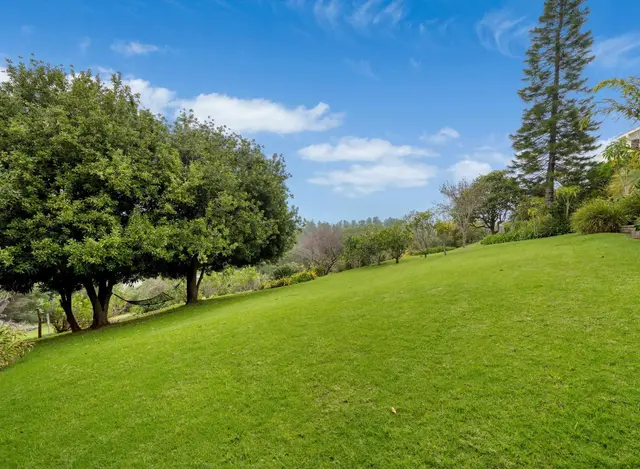 Listing Image for 2611 Olinda Rd 44 of 50