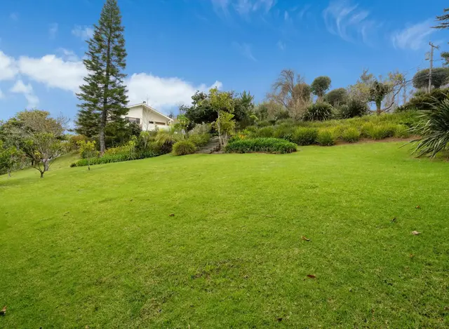Listing Image for 2611 Olinda Rd 45 of 50