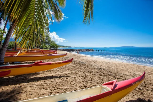 Listing Image for 140 Uwapo Rd 3-201 34 of 49