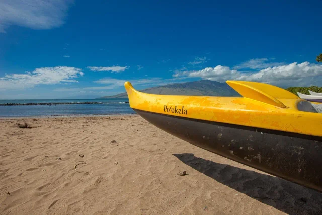 Listing Image for 140 Uwapo Rd 3-201 43 of 49