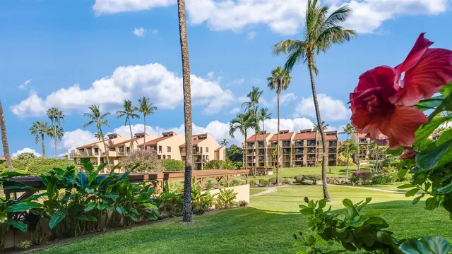 Listing Image for 2695 S Kihei Rd 7-101 22 of 27