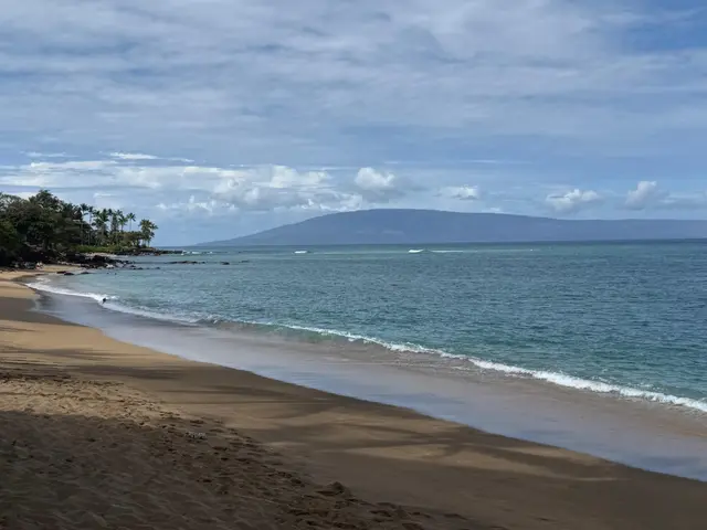 Listing Image for 4310 Lower Honoapiilani Rd 315 18 of 20