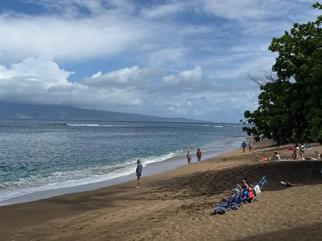Listing Image for 4310 Lower Honoapiilani Rd 315 19 of 20