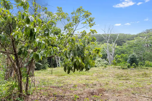 Listing Image for 50 Waipuhia Pl B 10 of 32