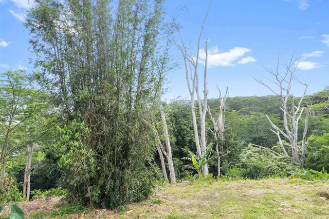 Listing Image for 50 Waipuhia Pl B 11 of 32