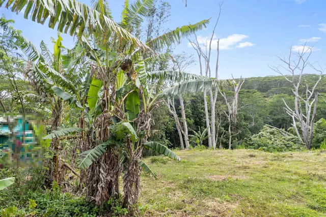 Listing Image for 50 Waipuhia Pl B 12 of 32