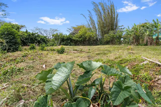 Listing Image for 50 Waipuhia Pl B 13 of 32