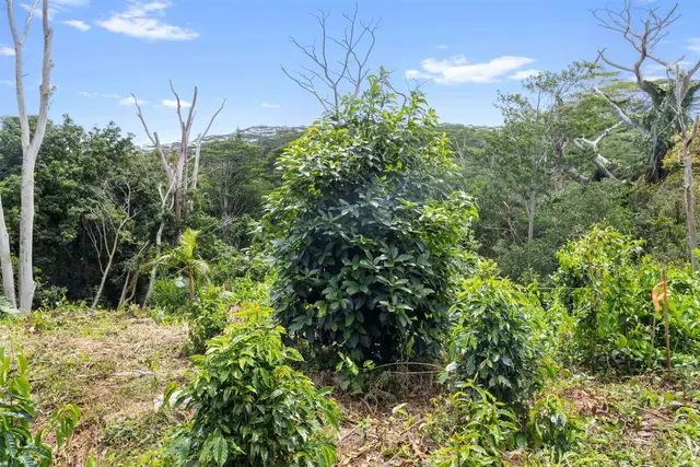 Listing Image for 50 Waipuhia Pl B 15 of 32