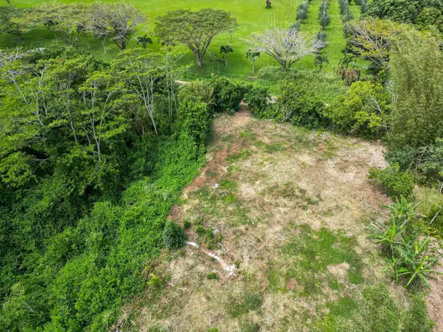 Listing Image for 50 Waipuhia Pl B 20 of 32