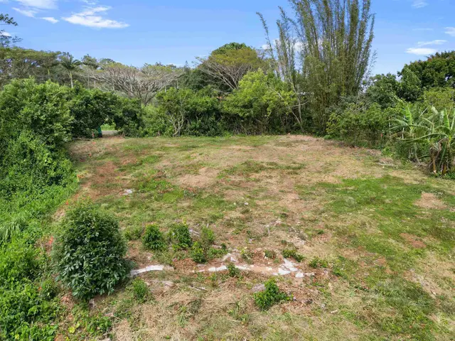 Listing Image for 50 Waipuhia Pl B 21 of 32