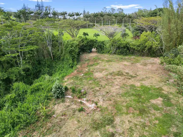 Listing Image for 50 Waipuhia Pl B 24 of 32