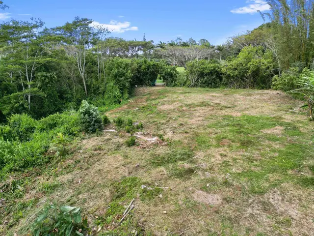 Listing Image for 50 Waipuhia Pl B 25 of 32
