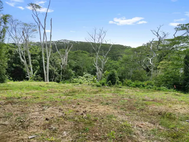 Listing Image for 50 Waipuhia Pl B 27 of 32