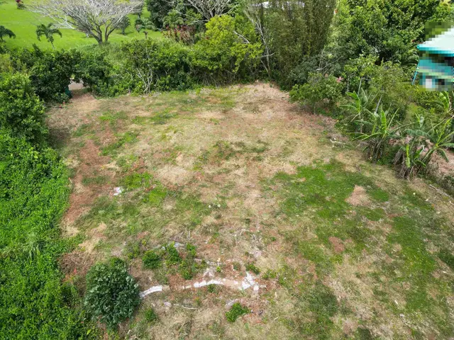 Listing Image for 50 Waipuhia Pl B 28 of 32