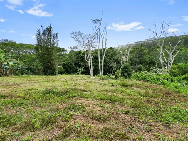 Listing Image for 50 Waipuhia Pl B 6 of 32