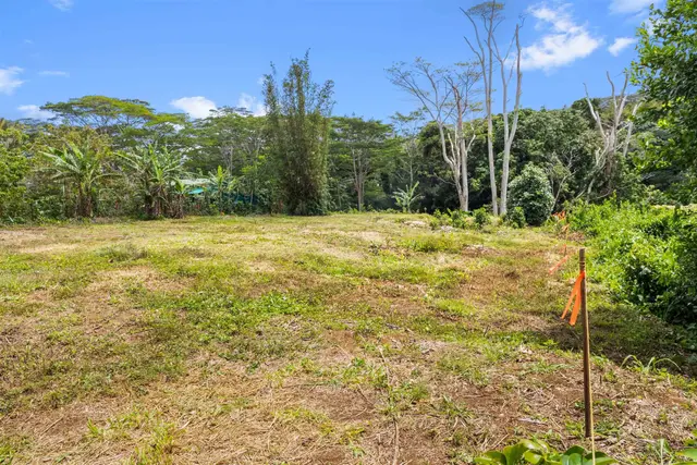 Listing Image for 50 Waipuhia Pl B 7 of 32