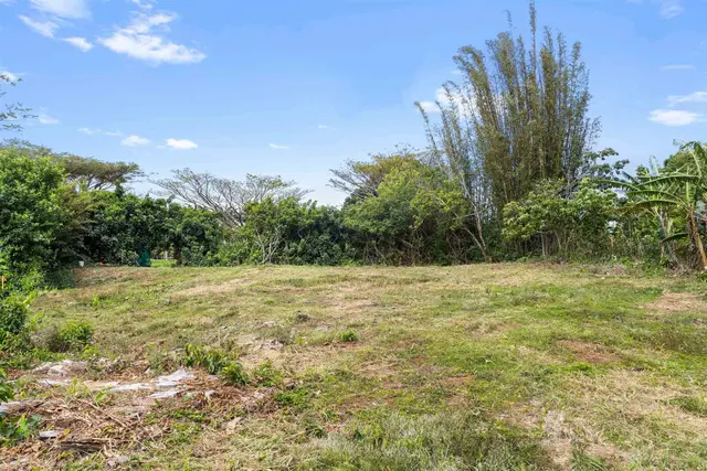 Listing Image for 50 Waipuhia Pl B 8 of 32