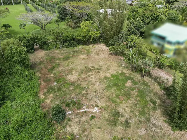 Listing Image for 50 Waipuhia Pl B 9 of 32