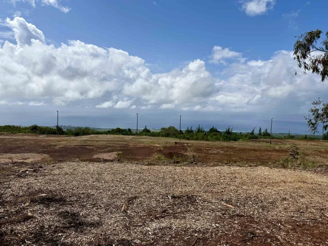 Listing Image for Mauka Of Honolua Ditch 13 of 28