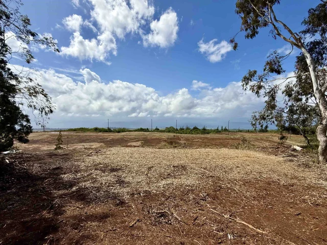 Listing Image for Mauka Of Honolua Ditch 14 of 28