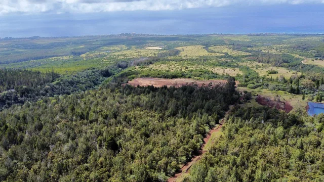 Listing Image for Mauka Of Honolua Ditch 15 of 28