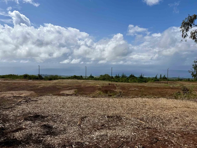 Listing Image for Mauka Of Honolua Ditch 18 of 28