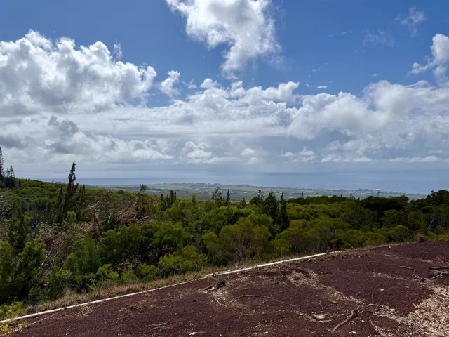 Listing Image for Mauka Of Honolua Ditch 19 of 28