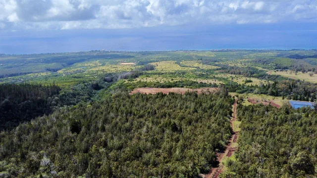 Listing Image for Mauka Of Honolua Ditch 2 of 28