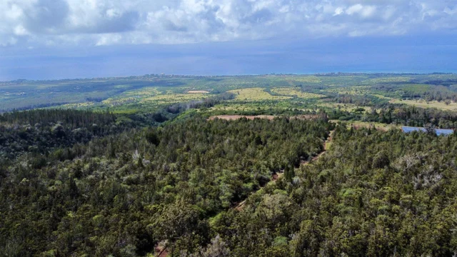 Listing Image for Mauka Of Honolua Ditch 6 of 28