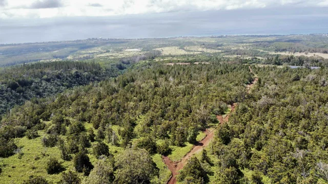 Listing Image for Mauka Of Honolua Ditch 7 of 28
