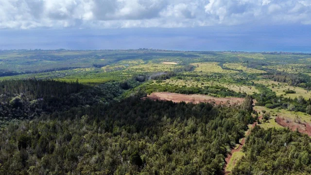 Listing Image for Mauka Of Honolua Ditch 9 of 28