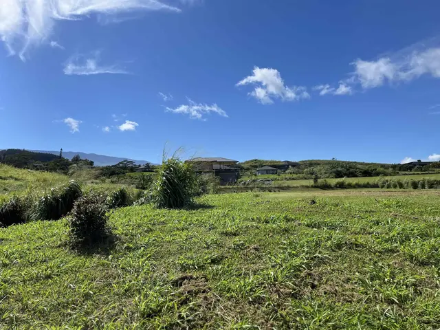 Listing Image for 821 Auwaha St Unit A 2 of 7