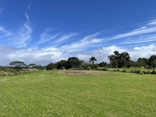 Listing Image for 821 Auwaha St Unit A 5 of 7