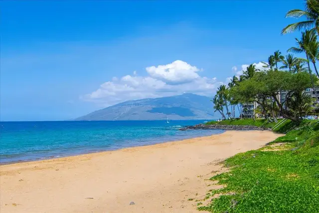 Listing Image for 2387 S Kihei Rd A206 14 of 46