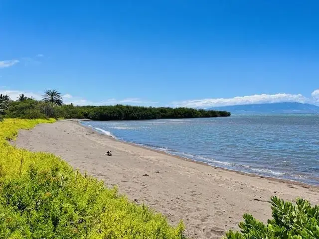 Listing Image for 7146 Kamehameha V Hwy B309 20 of 24