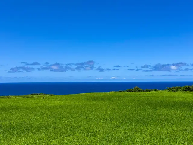 Listing Image for 610 Kai Huki Cir Lot 13 12 of 14