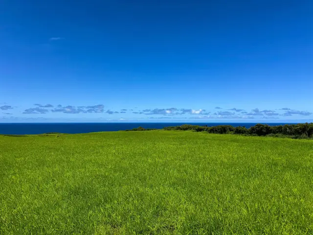 Listing Image for 610 Kai Huki Cir Lot 13 13 of 14