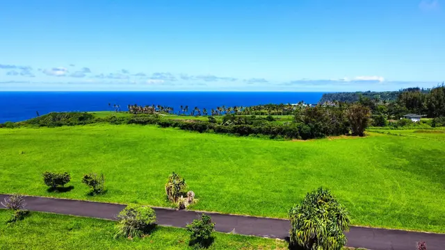Listing Image for 610 Kai Huki Cir Lot 13 6 of 14