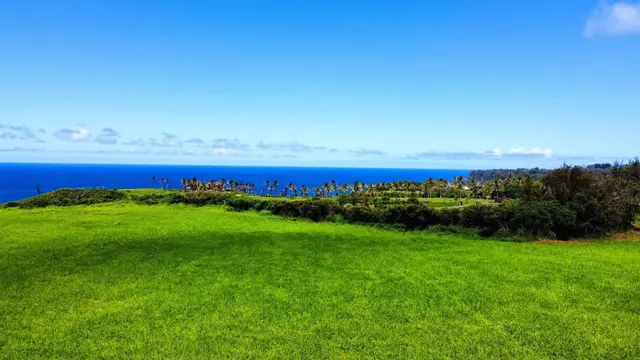 Listing Image for 610 Kai Huki Cir Lot 13 9 of 14