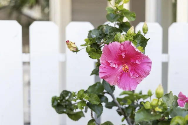 Listing Image for 160 Keonekai Rd 10-104 37 of 45