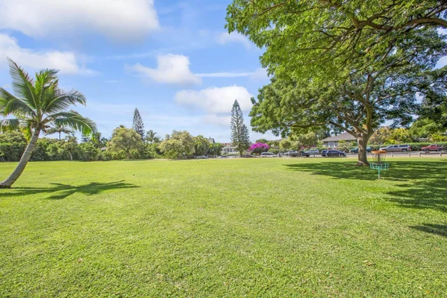 Listing Image for 160 Keonekai Rd 10-104 41 of 45