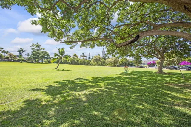 Listing Image for 160 Keonekai Rd 10-104 42 of 45