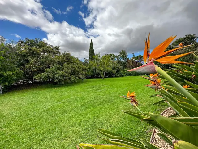 Listing Image for 1875 Lower Kula Rd 32 of 36